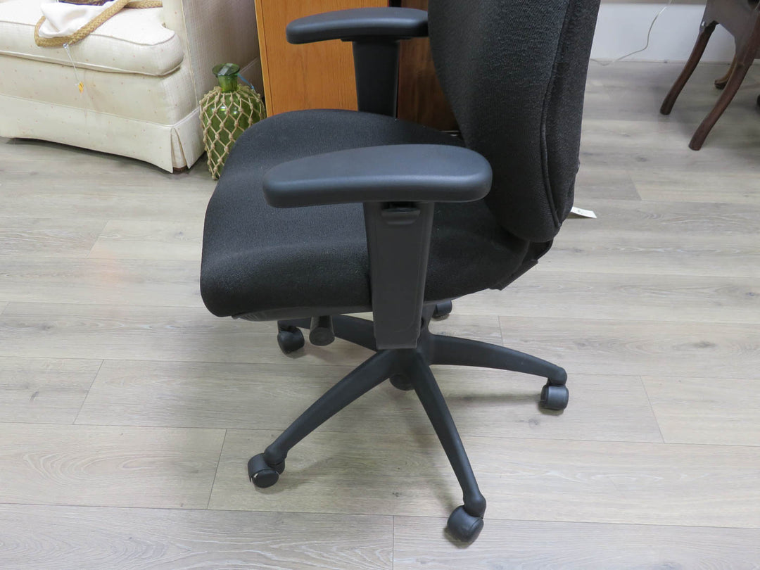 Adjustable Lifeform Office Chair