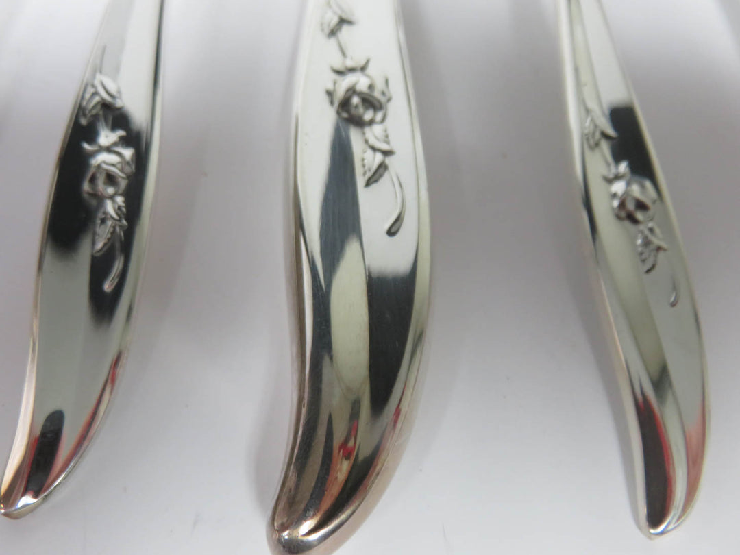 Rogers Brothers Flatware - Never Used