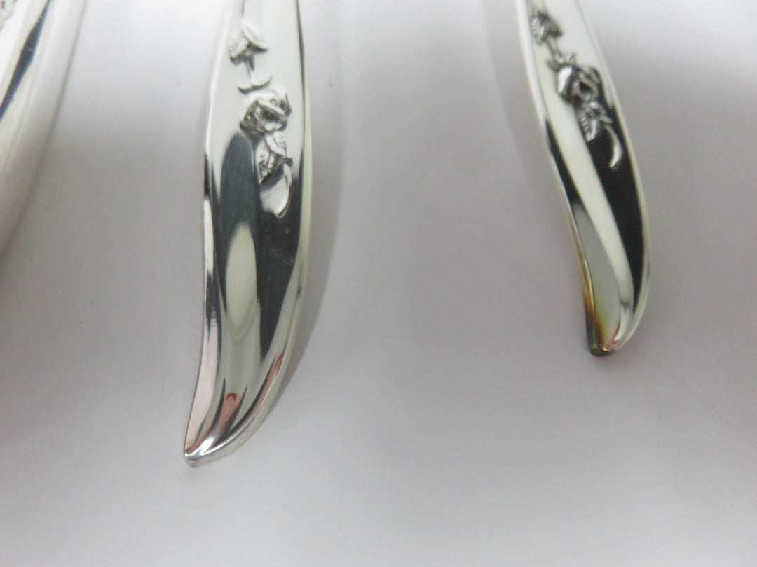 Rogers Brothers Flatware - Never Used