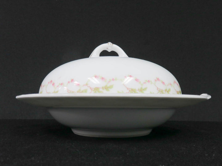 Covered Cheese/Butter Dish
