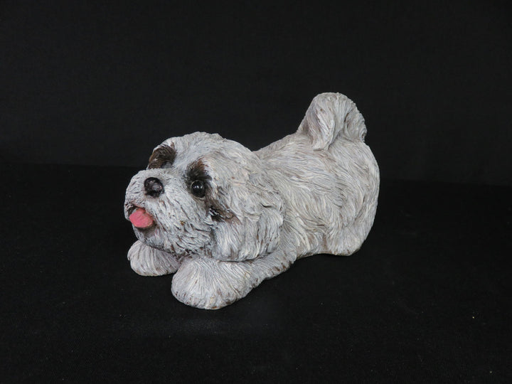 Sandicast Lhasa Apso Dog