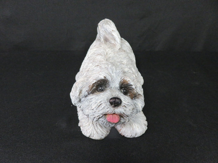 Sandicast Lhasa Apso Dog