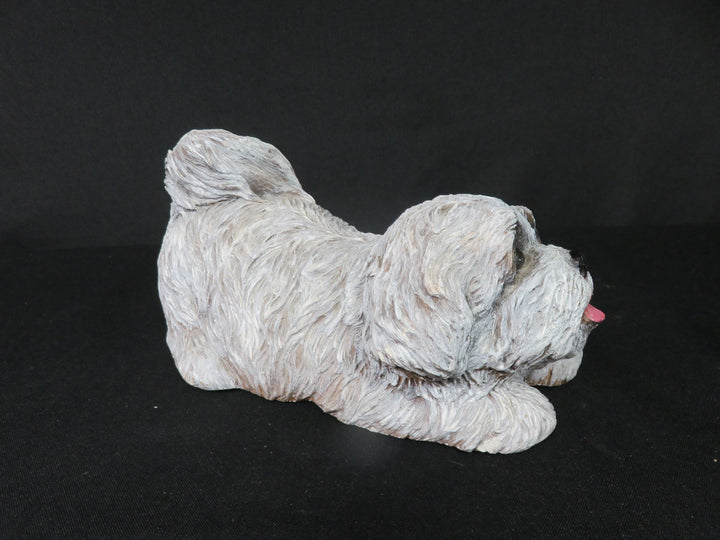 Sandicast Lhasa Apso Dog