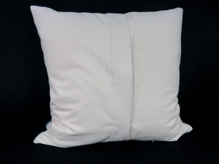 Pottery Barn Throw Pillow