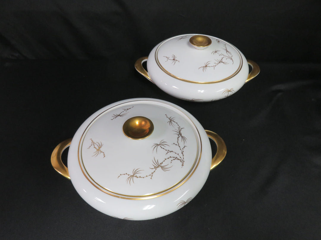 Rosenthal Golden Palm China Set