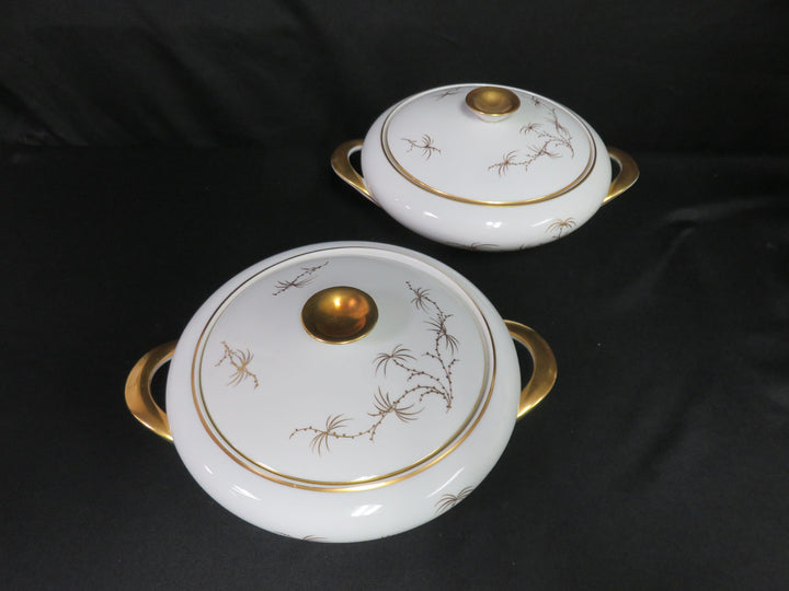 Rosenthal Golden Palm China Set