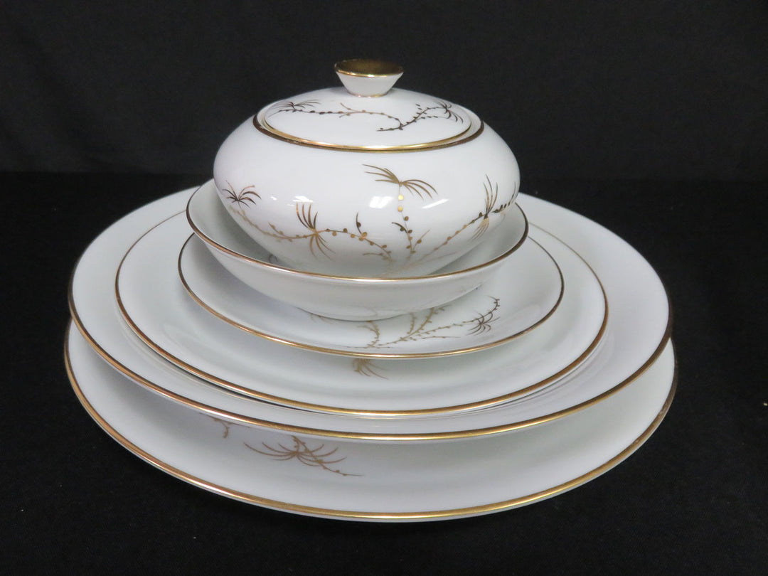 Rosenthal Golden Palm China Set