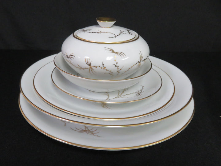 Rosenthal Golden Palm China Set