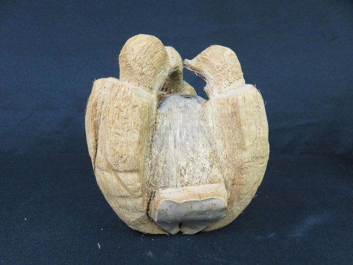 Hand Carved Coconut