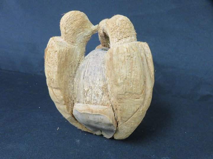 Hand Carved Coconut