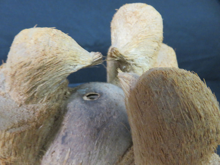 Hand Carved Coconut