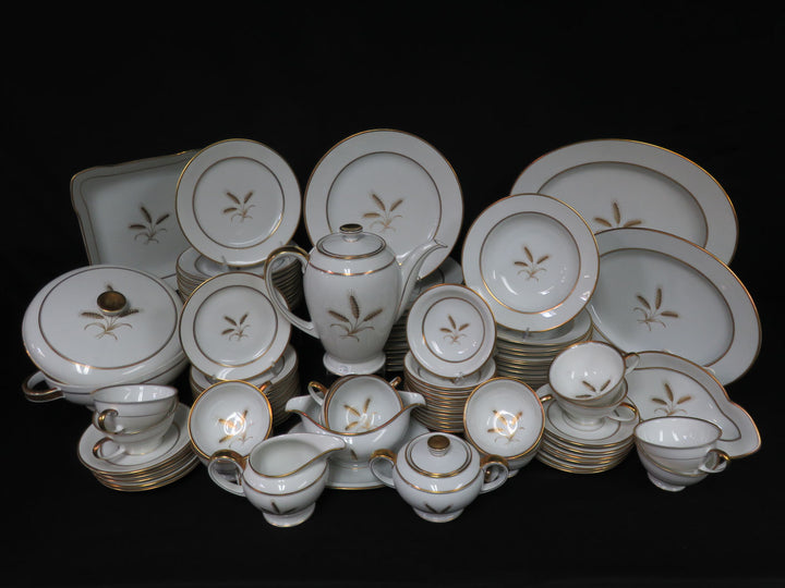 Rosenthal China Set