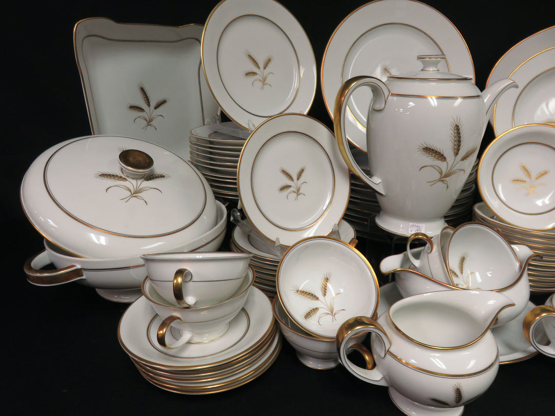 Rosenthal China Set