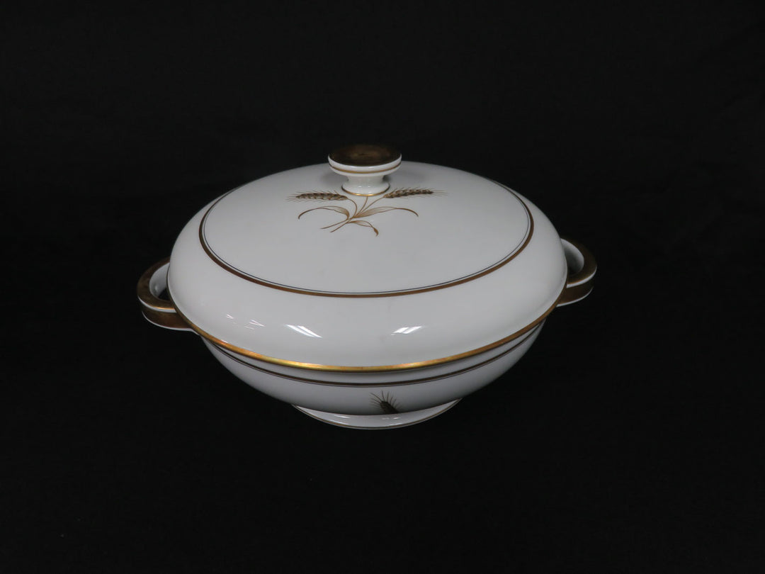 Rosenthal China Set