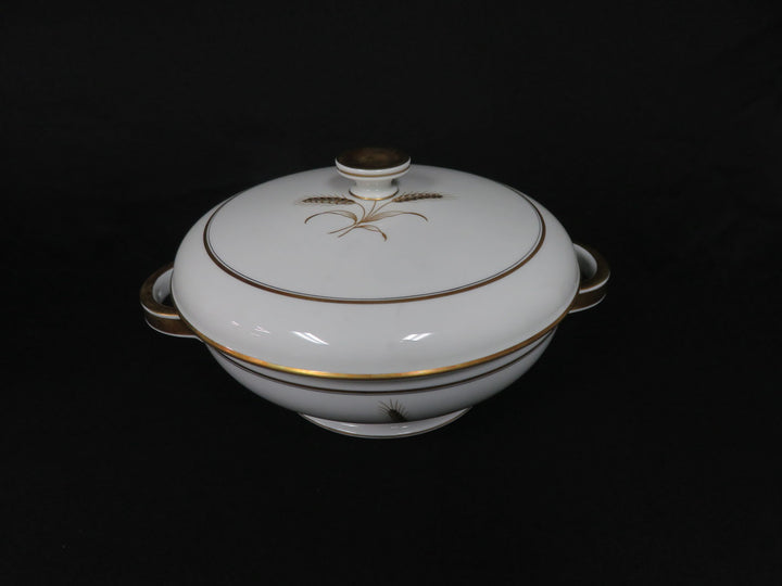 Rosenthal China Set