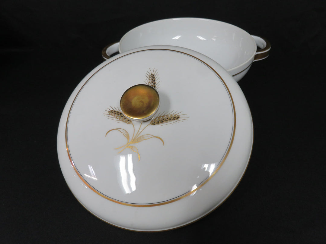 Rosenthal China Set