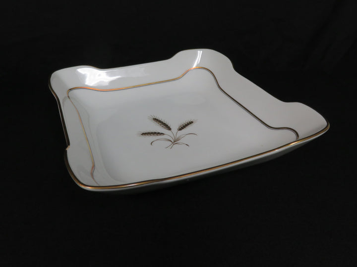 Rosenthal China Set