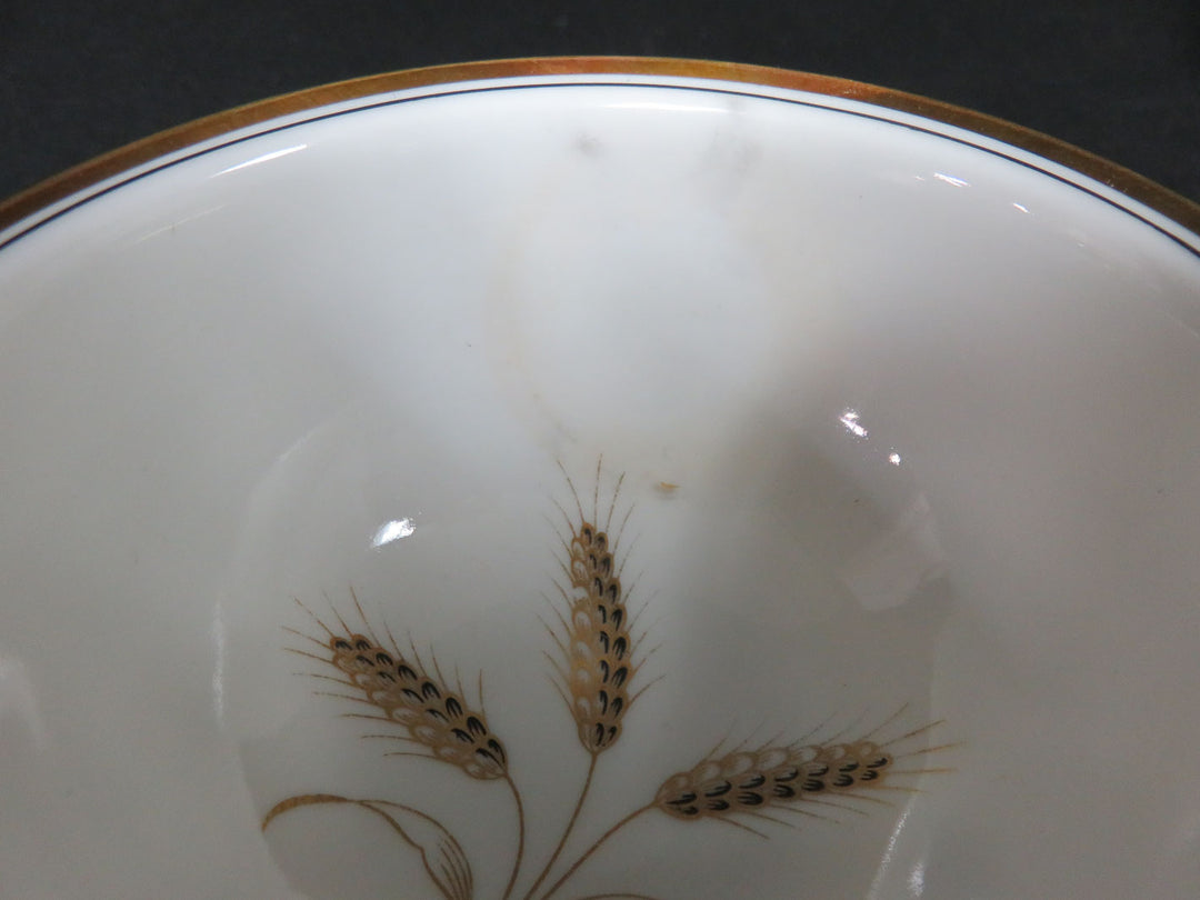 Rosenthal China Set
