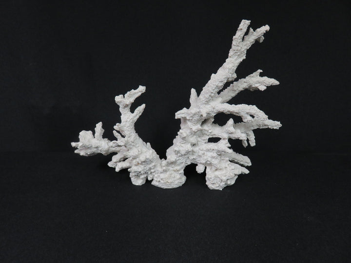 Decorative Coral