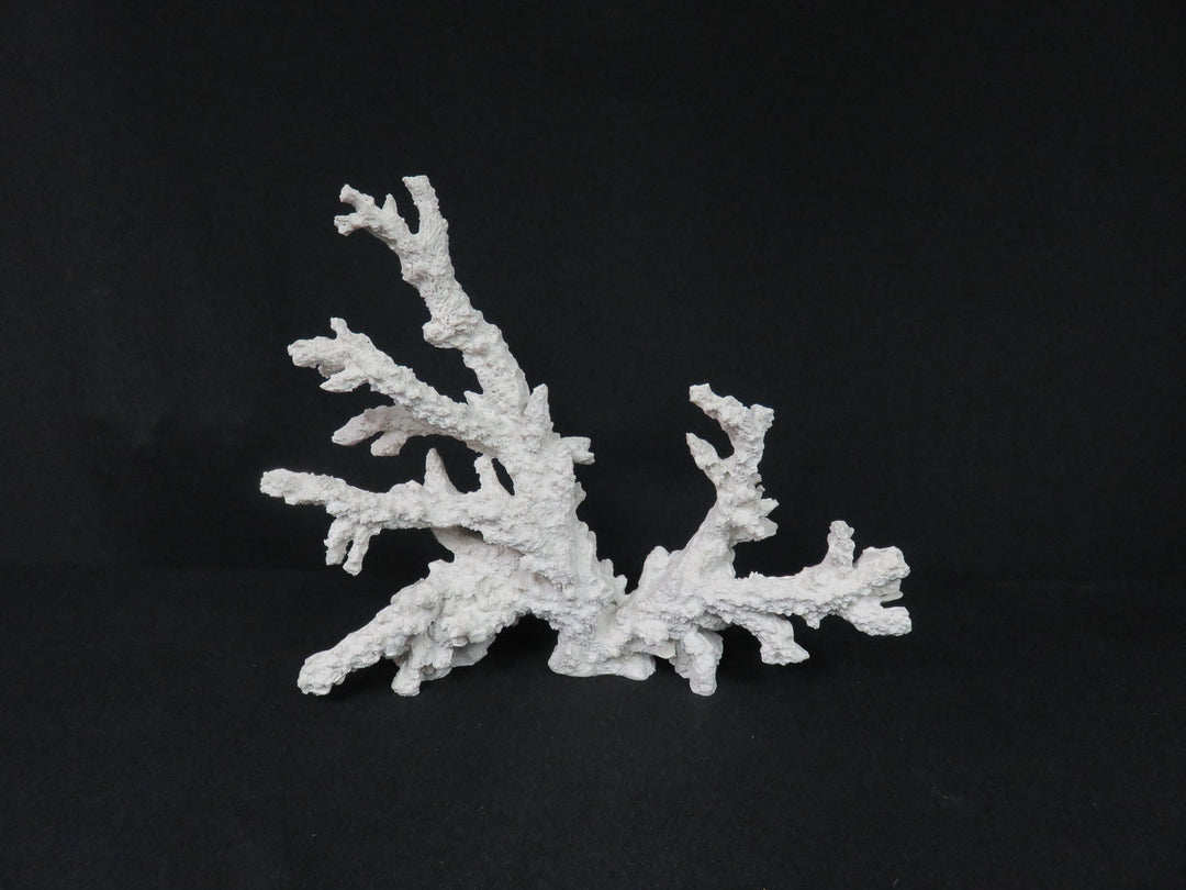 Decorative Coral