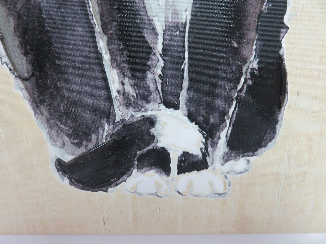 Black Cat Canvas Print