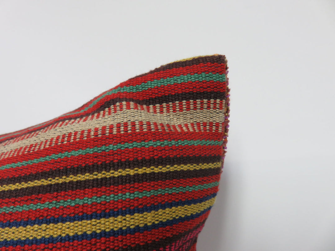 Lumbar Throw Pillow