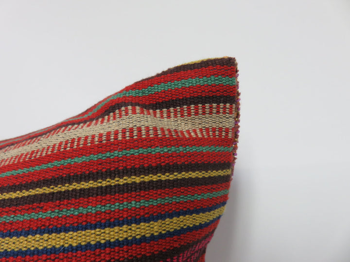 Lumbar Throw Pillow