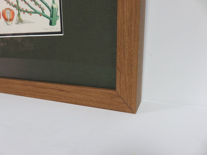 Hand Painted Botanical Lithograph