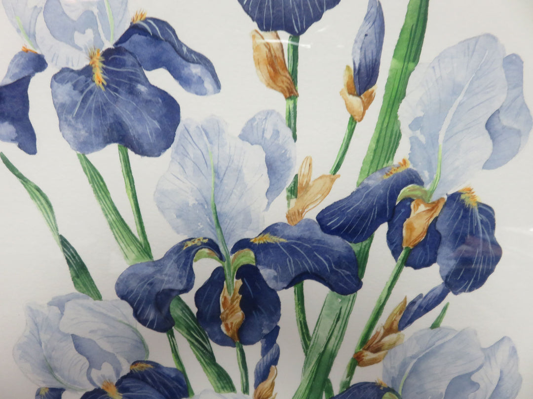 Original Watercolor Painting of Irises