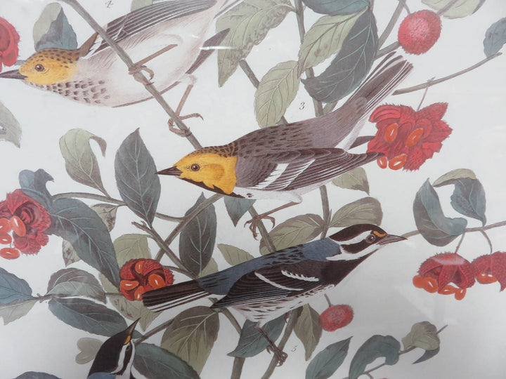 Birds on Branch Artwork