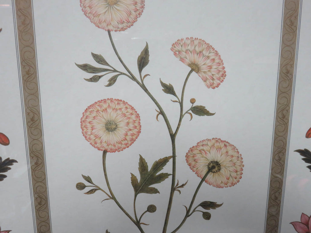 Botanical Print with Floral Border