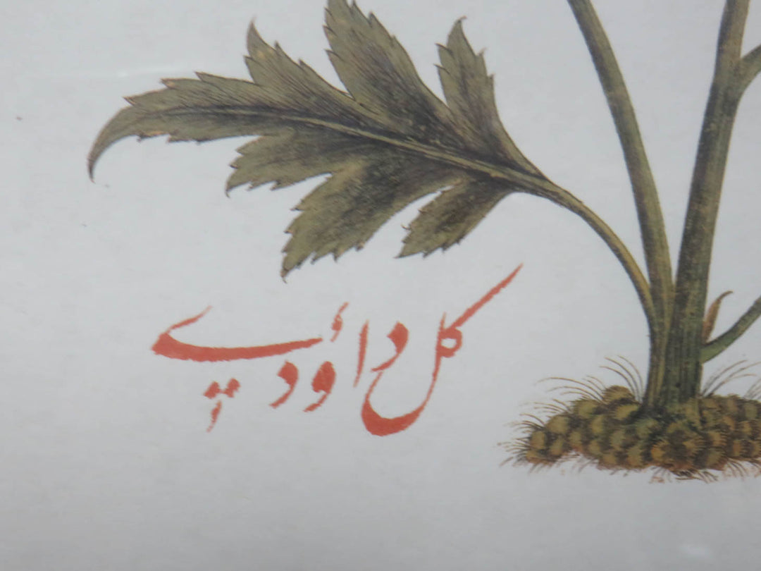 Botanical Print with Floral Border