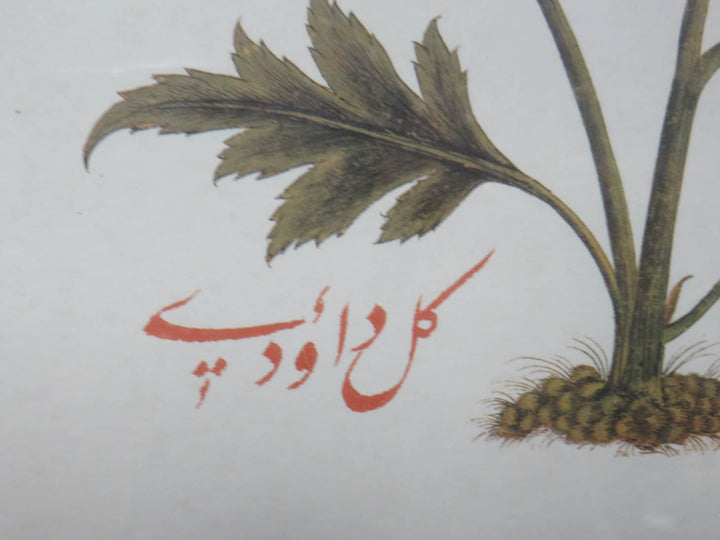 Botanical Print with Floral Border