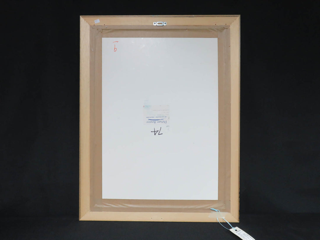 Amaryllis Flower Print