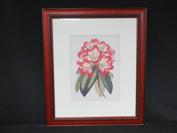 Tropical Pink Flower Print