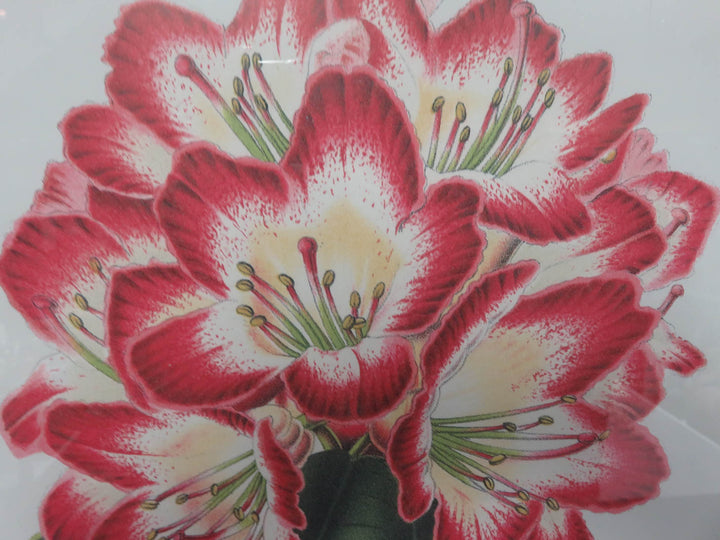 Tropical Pink Flower Print