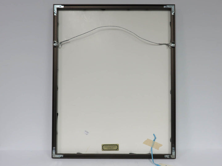 Peruvian Yarn and Horsehair Artwork