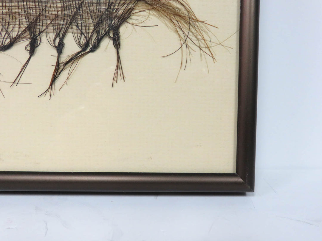 Peruvian Yarn and Horsehair Artwork