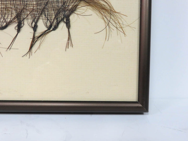 Peruvian Yarn and Horsehair Artwork