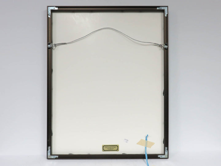 Peruvian Yarn and Horsehair Artwork