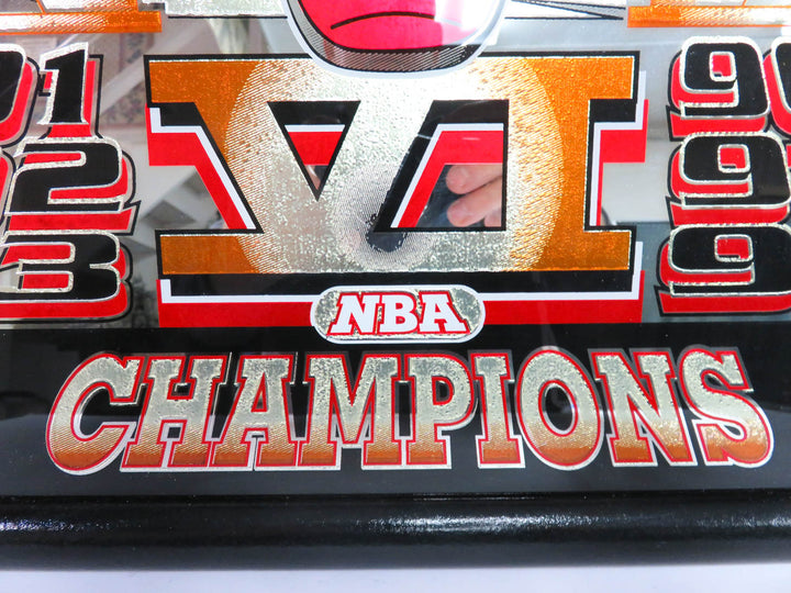 Chicago Bulls Mirrored Print