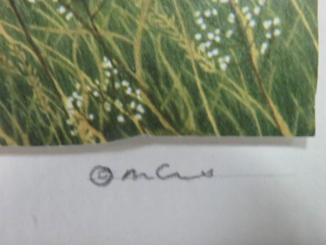 Seaside Signed Print