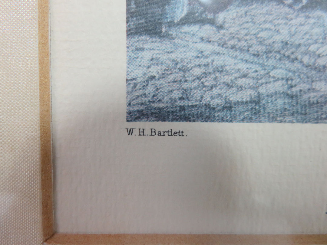 Bartlett City Scene Print