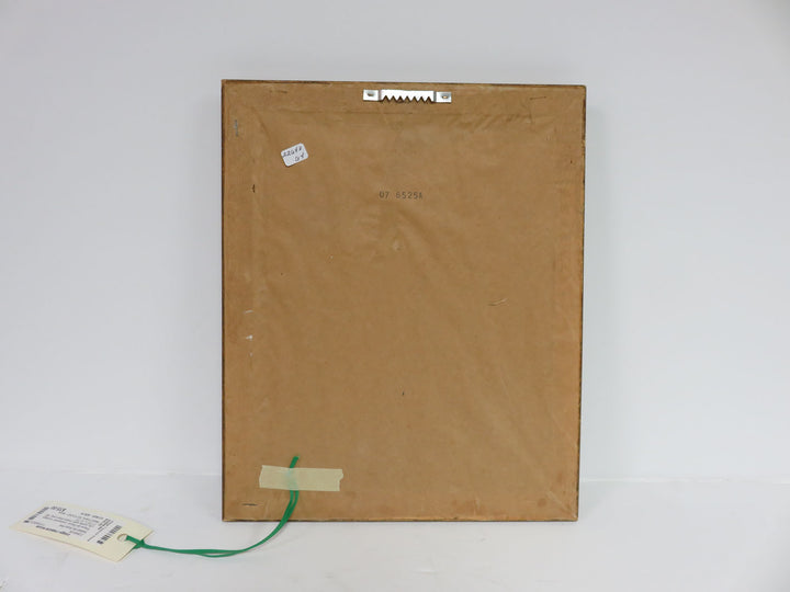 Bartlett City Scene Print