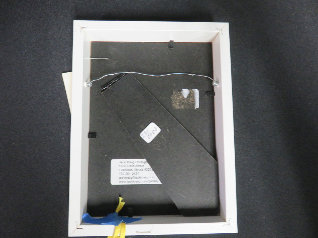 Popsicles Photograph on Canvas