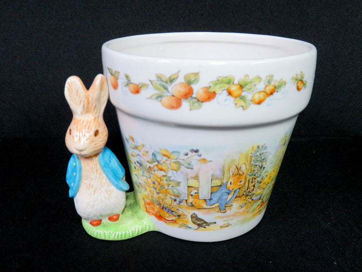 Beatrix Potter Planter