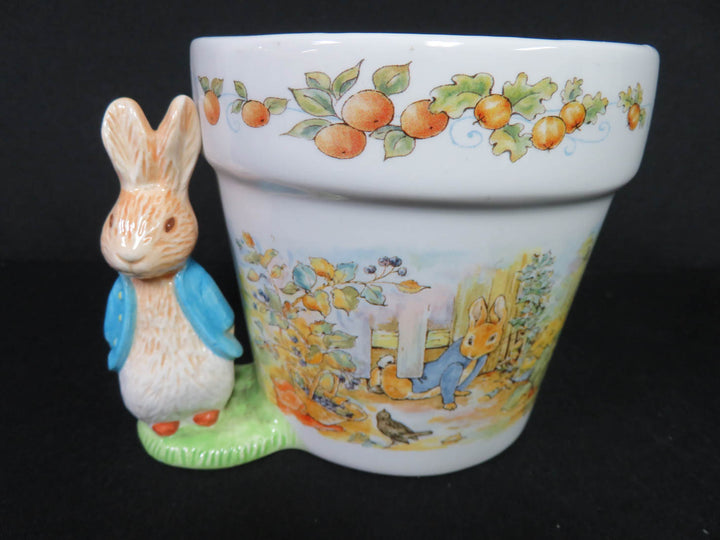 Beatrix Potter Planter