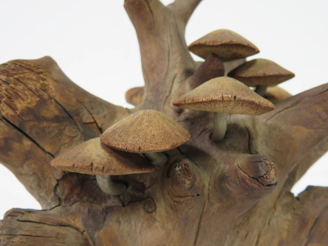 Mushroom Wood Sculpture