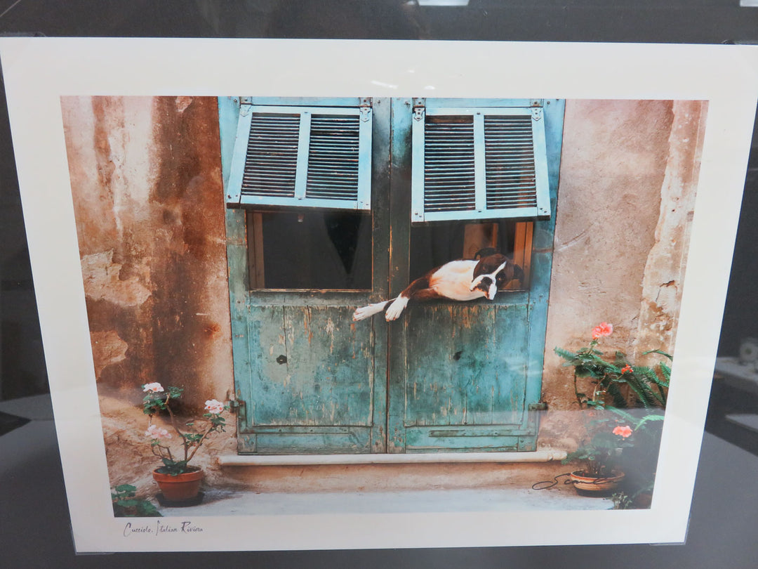 "Cucciolo" by J. Scanlan Photograph