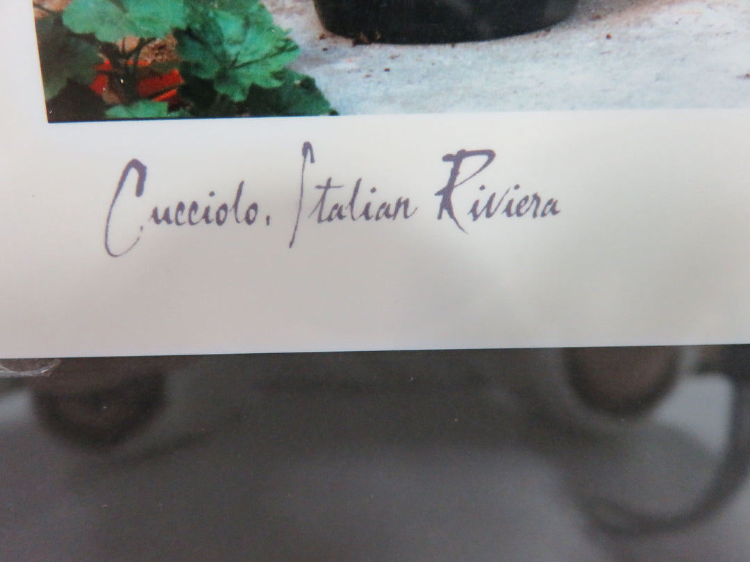 "Cucciolo" by J. Scanlan Photograph